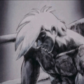 Godkmen