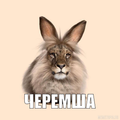 чeрeмшa