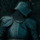 DarkHunter74