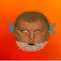 CrazyCarrot