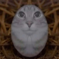 Лесное яичко