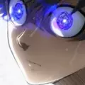 Bratfelix
