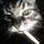 -kitt
