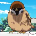 ÜwÜ