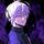 kosshi