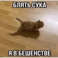 Тешка