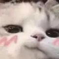 FilinAction