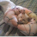 MilfHunter-gg
