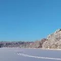 Dedwortl